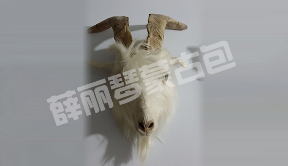 羊頭